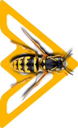 A wasp hanging out on the Wicked Stinger logo